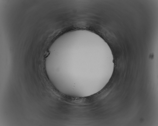 X0000092211201200710051129