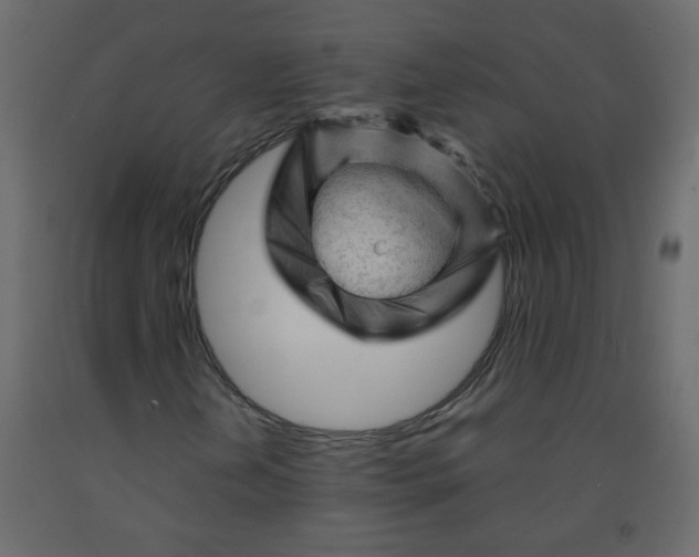 X0000092211202200710051129