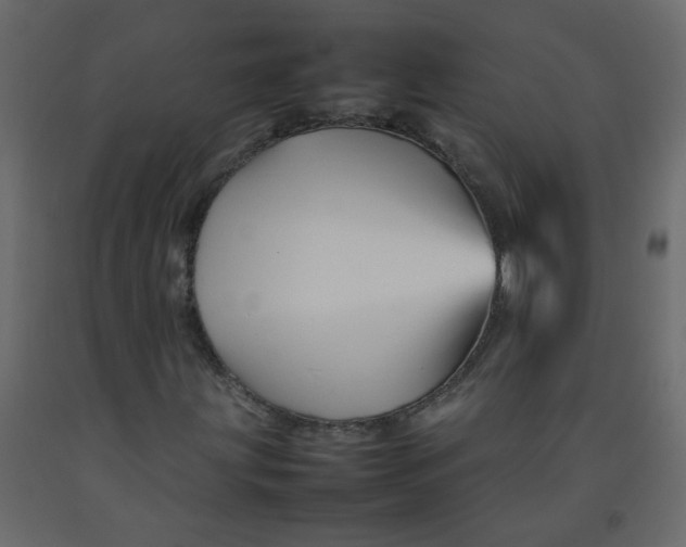 X0000092211203200710051129