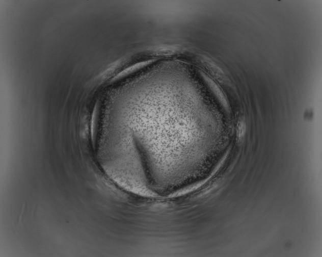 X0000092211204200710051129