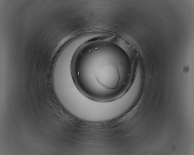 X0000092211210200710051130