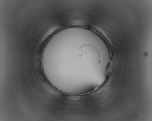 X0000092211211200710051130