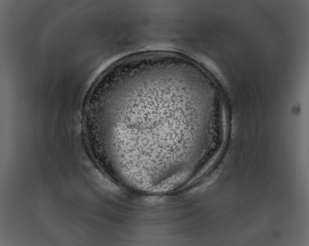 X0000092211212200710051130