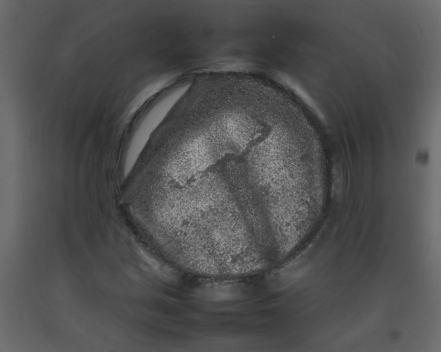 X0000092211213200710051130