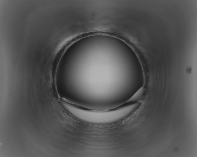 X0000092211214200710051130