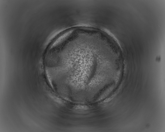 X0000092211215200710051130