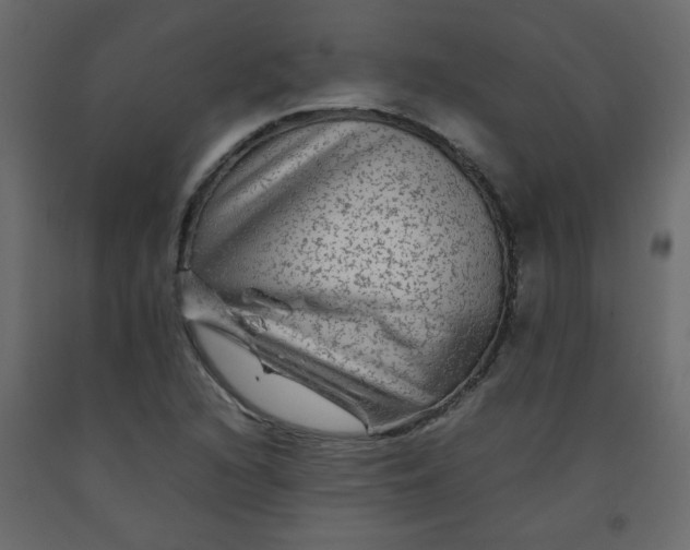 X0000092211216200710051130