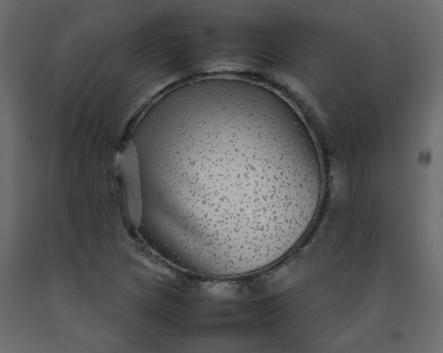 X0000092211217200710051130