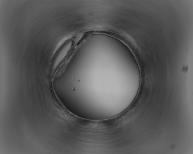 X0000092211218200710051130