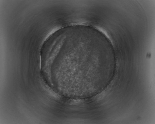 X0000092211219200710051130