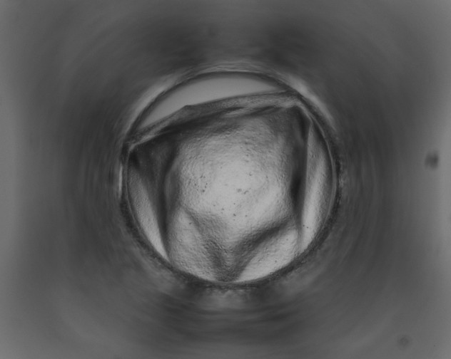 X0000092211221200710051130