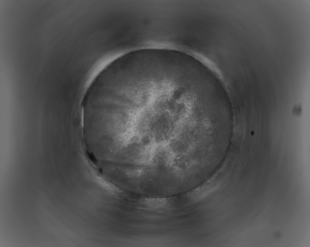 X0000092211223200710051130