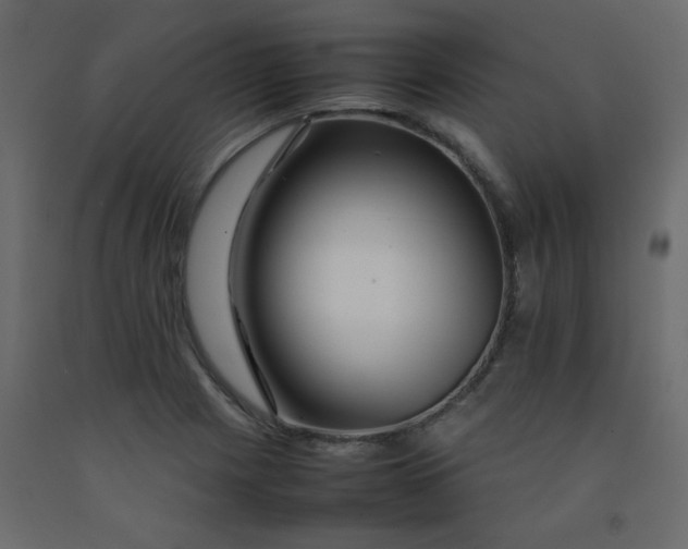 X0000092211225200710051130