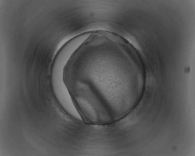 X0000092211226200710051130