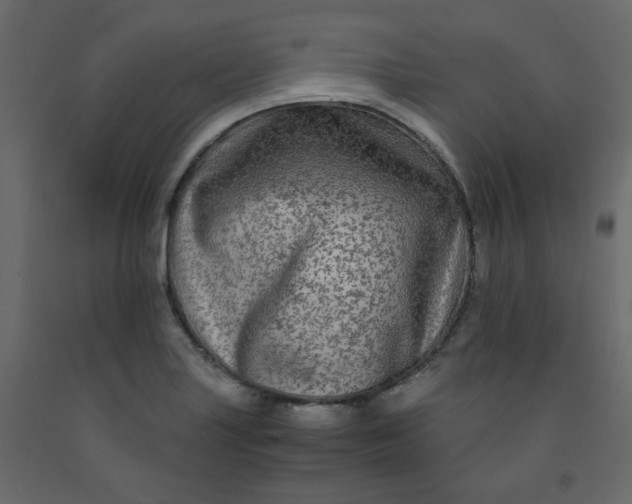 X0000092211227200710051130