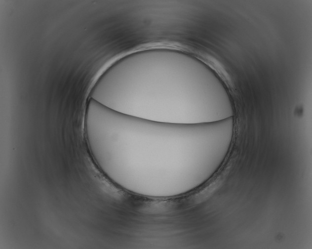 X0000092211228200710051130