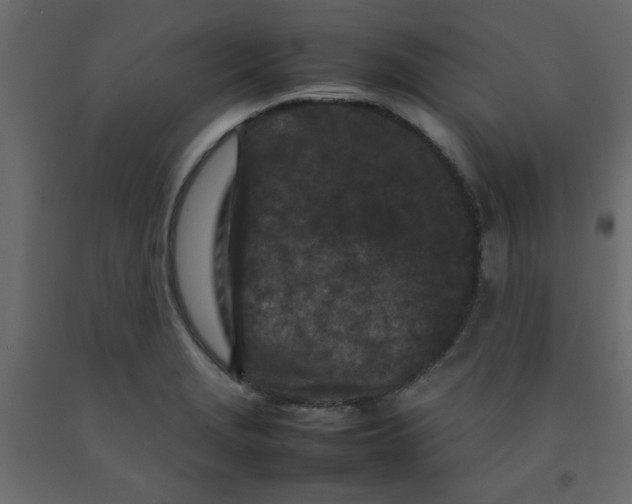 X0000092211229200710051130