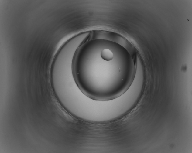 X0000092211230200710051130