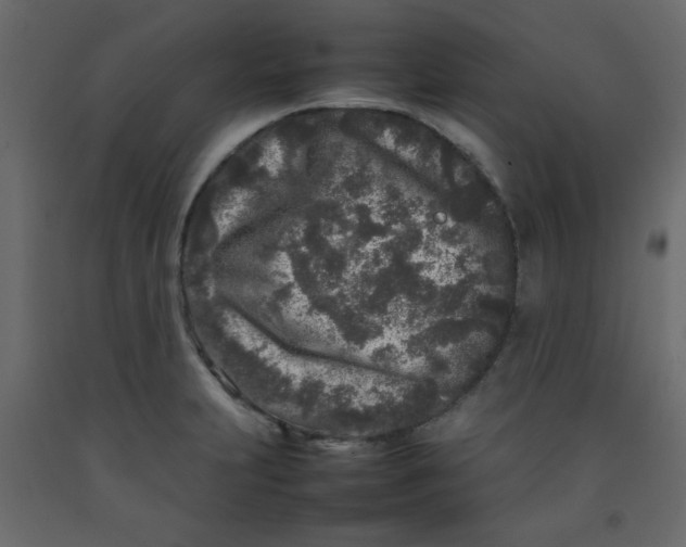 X0000092211231200710051130