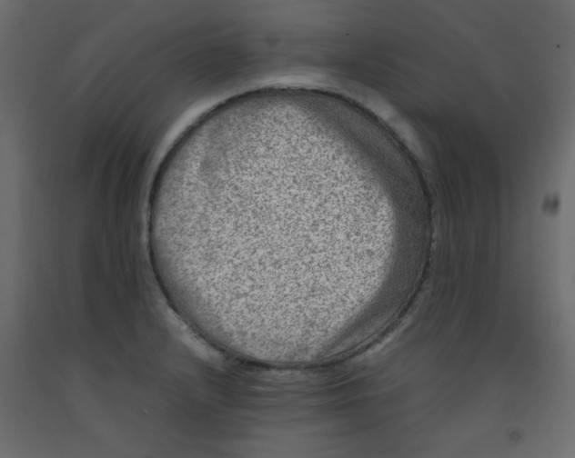 X0000092211232200710051130