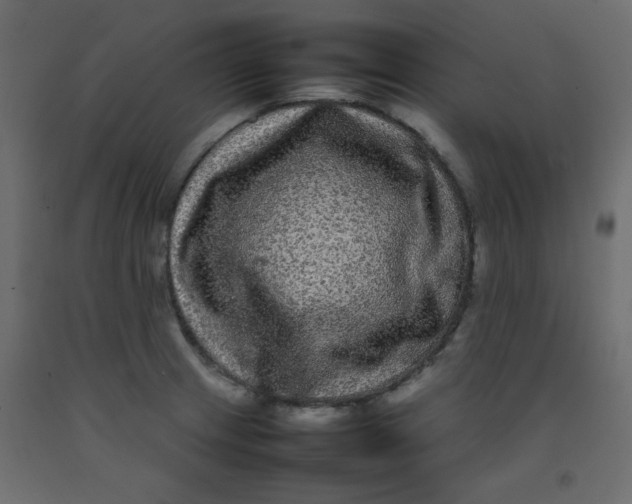 X0000092211233200710051130