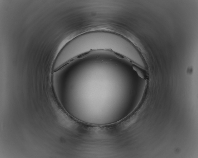 X0000092211234200710051130