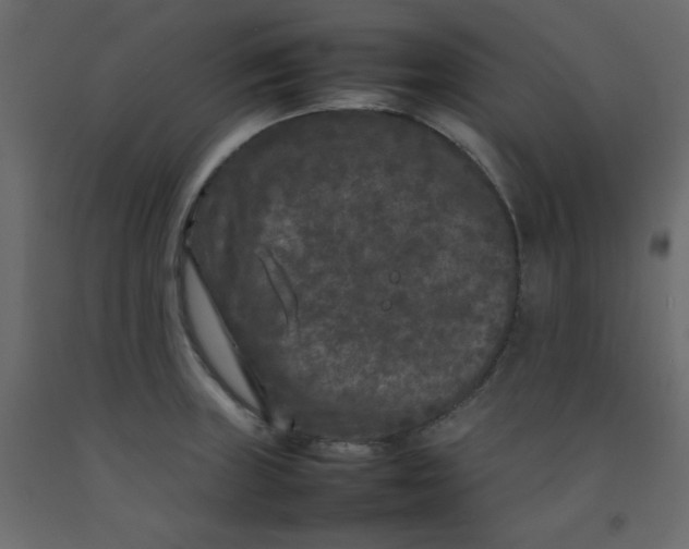 X0000092211235200710051130