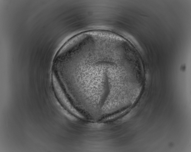 X0000092211236200710051130