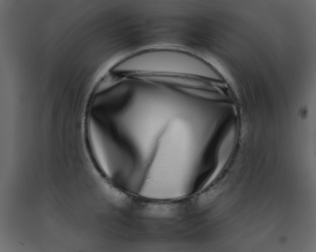 X0000092211237200710051130