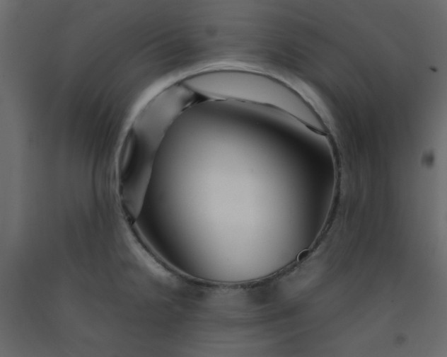 X0000092211238200710051130