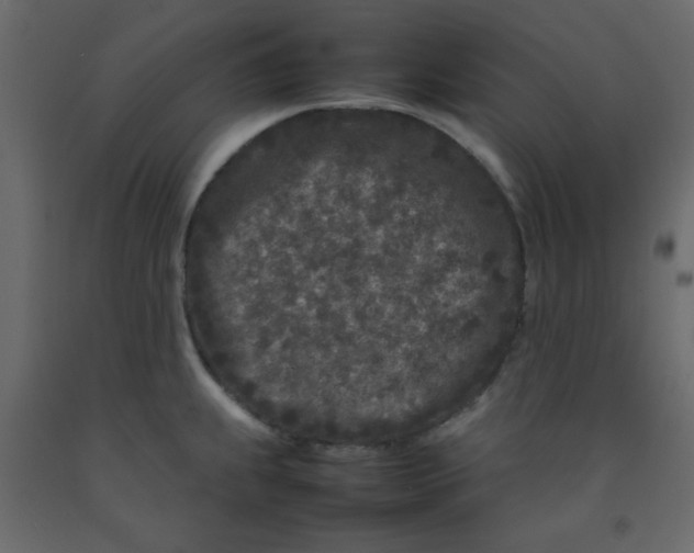 X0000092211239200710051130