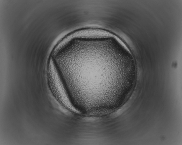 X0000092211240200710051130