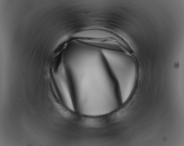 X0000092211241200710051130