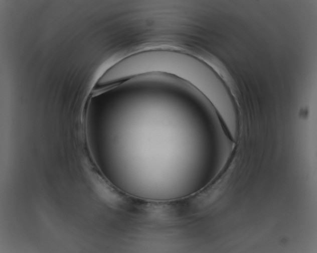 X0000092211242200710051130