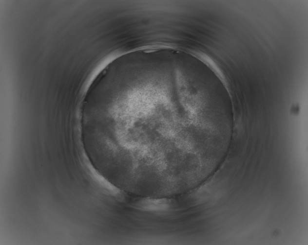 X0000092211243200710051130