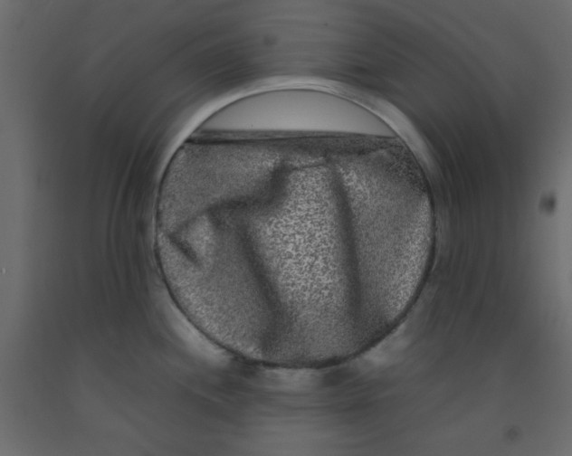 X0000092211244200710051130