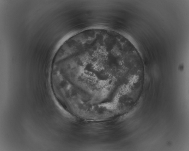 X0000092211245200710051130