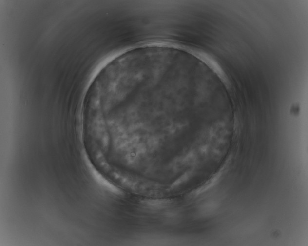 X0000092211247200710051130