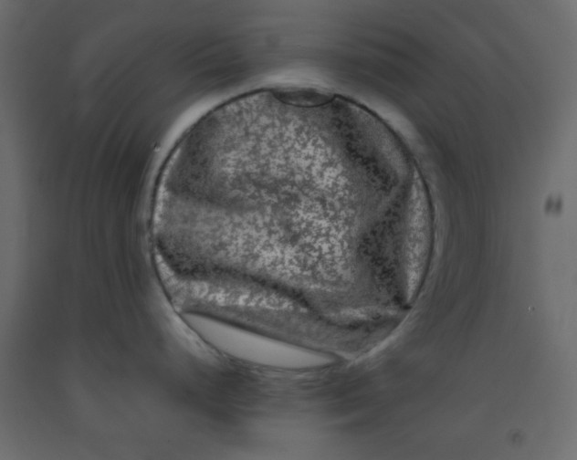 X0000092211248200710051130