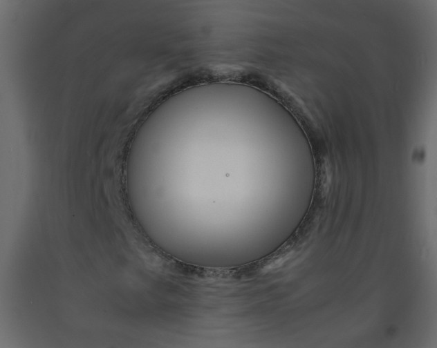 X0000092211249200710051129