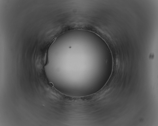 X0000092211250200710051129