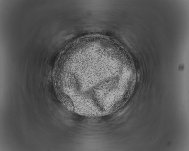 X0000092211251200710051129