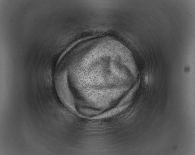 X0000092211252200710051129