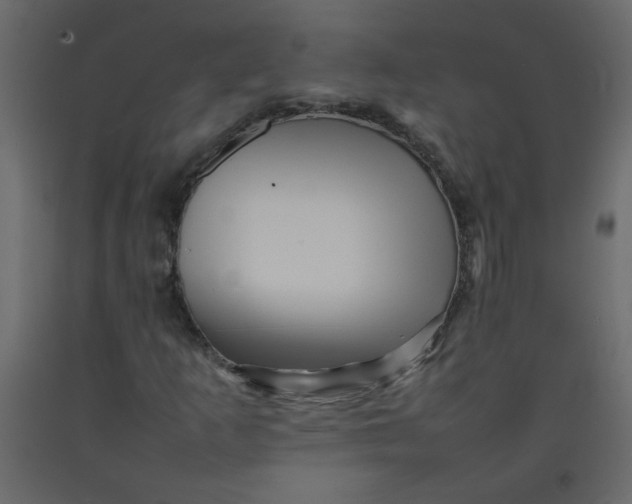 X0000092211253200710051129