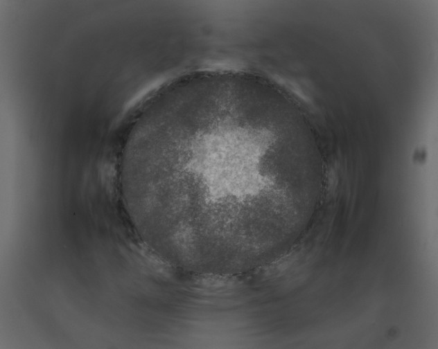 X0000092211254200710051129