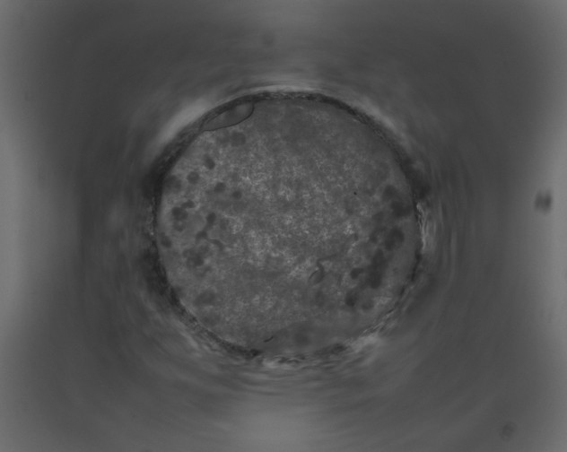 X0000092211255200710051129