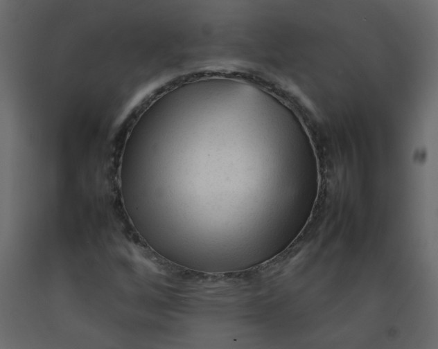 X0000092211256200710051129