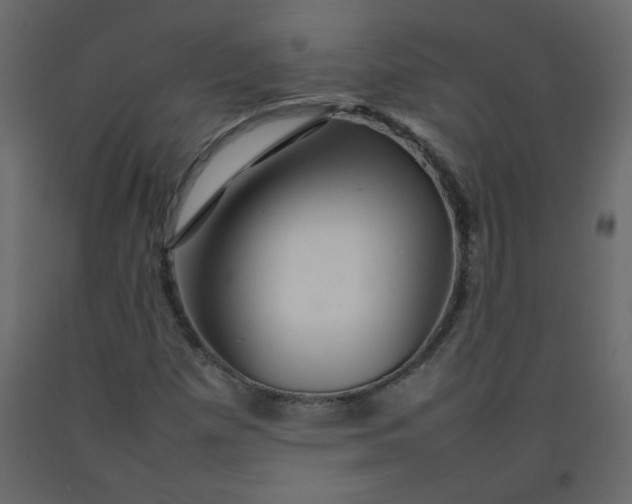 X0000092211257200710051129