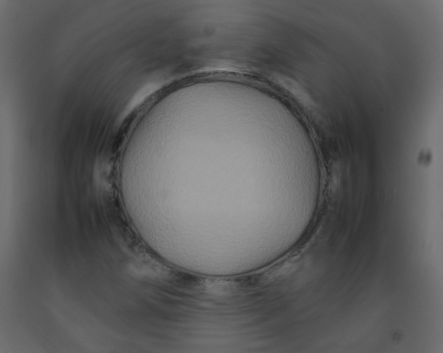 X0000092211258200710051129