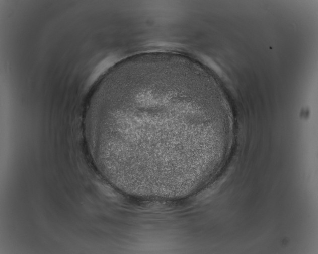 X0000092211259200710051129